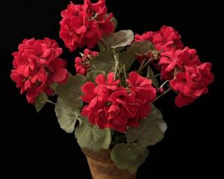 Artificial Geranium Plant in Pot