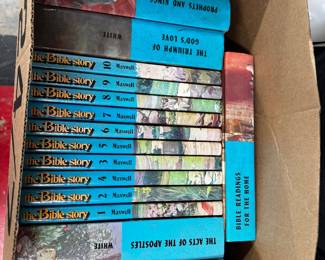 The Bible Story Book Lot