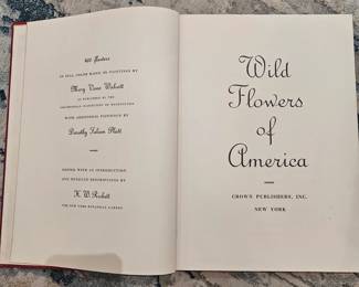 Vintage Book Wild Flowers of America