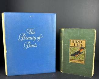 172 birdlifebyfrankmchapman1901dappl