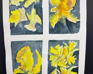 007 originalwatercolordaffodilstudyonco
