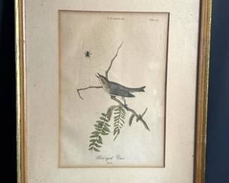 259 framedvintagebirdprintredeyedvireo