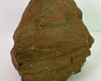 265 petrifiedwoodspecimen