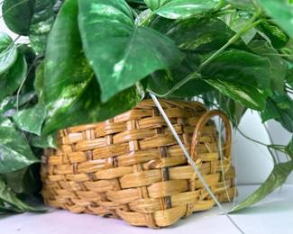 274 lotofartificialpottedplants1large