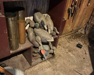 Duck decoys
