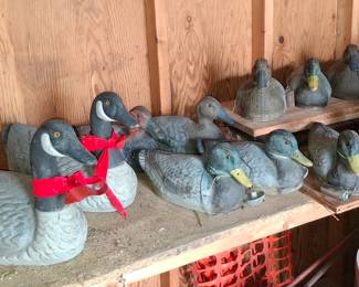 Lots of Duck Decoys!