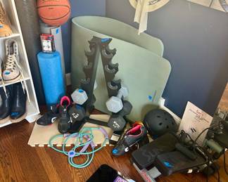 Small weight set, exercise mats & rolls, Sunny Stepper, Etexcity scale