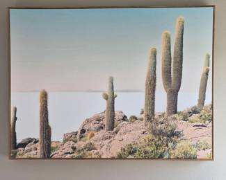 Desert Cactus Canvas Print 40 Inch x 30 Inch