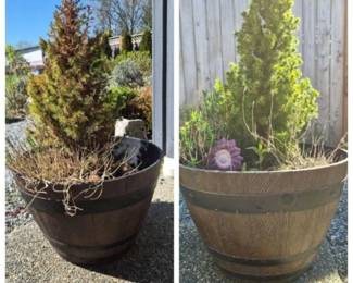 Half‑Barrel Style Wood‑Grain Resin Outdoor Pots (Pair) with Shrubs