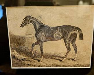 19th c. Horse engraving 