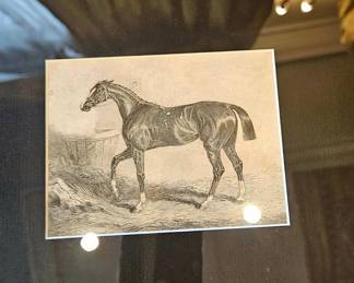 Stunning horse art framed