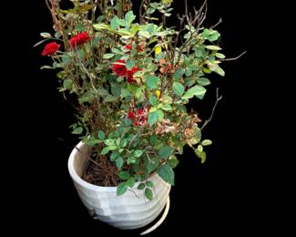 Garden container  with rosebush