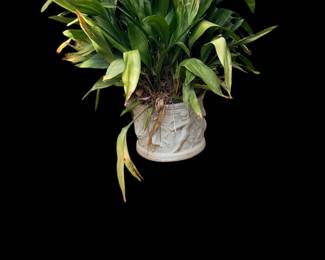 Garden planter with plant