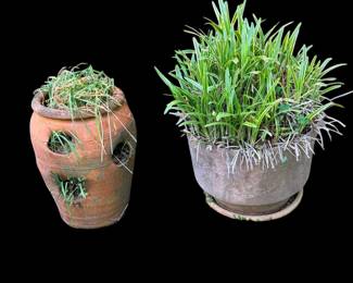 Lots of pots many with plants