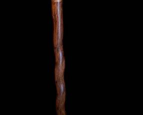 Brazos walking stick