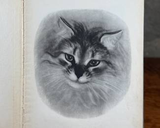First edition of ‘Pandora, ‘ written and illustrated by Clare Turlay Newberry, published by Harper & Brothers. The book showcases charming illustrations and a story centered around a cat. It features a worn illustrated hardcover with signs of age-related wear, including scuffs and edge fraying. The interior remains intact with detailed illustrations and text reflective of Newberry’s style.