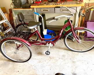 Schwinn adult tricycle