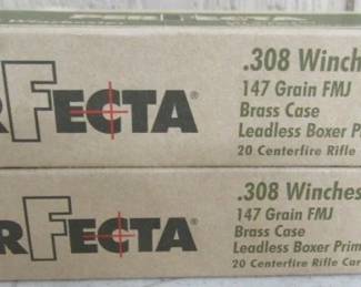 .308 Winchester Ammo