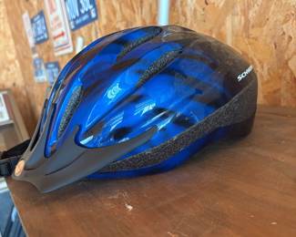 Schwinn Intercept Adult Bicycle Helmet