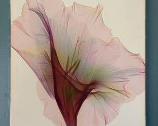 X-ray Gladiolus Flower Art Print on Canvas