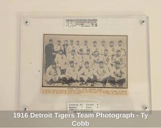 Detroit Tigers Team Photograph  Ty Cobb