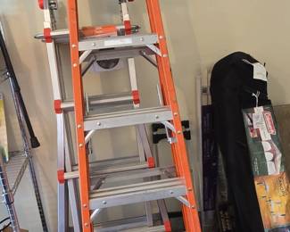 Husky ft. MultiPosition Ladder