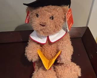Gund Storytime Pilgrim Bear with Book