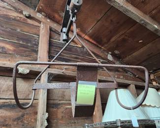 Very Rare Veterinarian's Scale