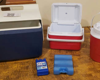 Lot 111: Assorted Portable Coolers and Ice Packs