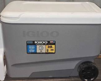 8138 Igloo Cooler