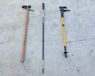 8154  Walking Sticks