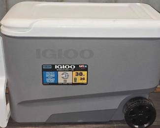 8138  Igloo Cooler
