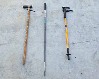 8154 Walking Sticks