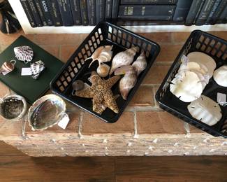 Sea shells. 
