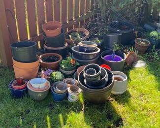 Lots of garden pots