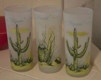 Arizona Blakey Cactus Frosted Tumblers