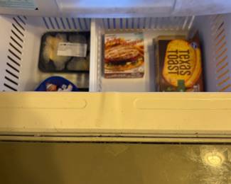 Second level of pullout refrigerator freezer