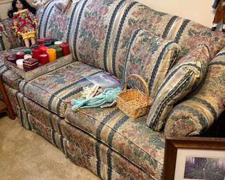 Bedroom - this is Hide-A-bed sofa