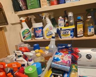 Laundry room - Lots of cleaning items