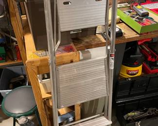 Folding Ladder