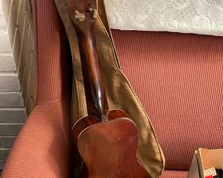 Mandolin W/ Carry Bag