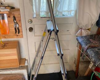 Folding Ladder