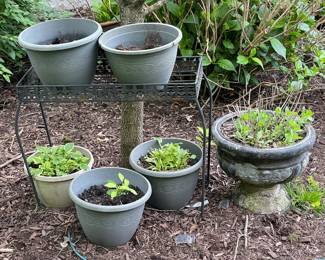 Planters