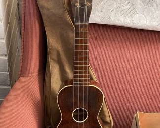 Mandolin W/ Carry Bag