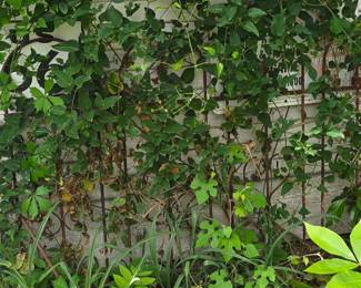 66 Sign and an Old Fence Panel