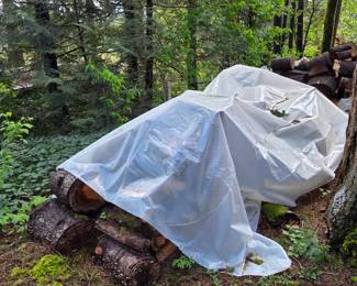 1 Cord - Located in Bellevue for Pick-UP - Self Load - $144.99