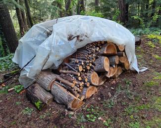 1 Cord - Located in Bellevue for Pick-UP - Self Load - $144.99