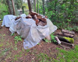 1 Cord - Located in Bellevue for Pick-UP - Self Load - $144.99