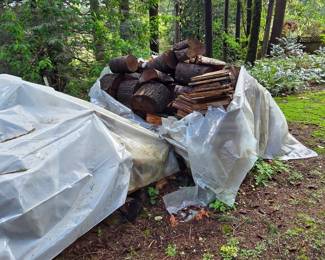 1 Cord - Located in Bellevue for Pick-UP - Self Load - $144.99