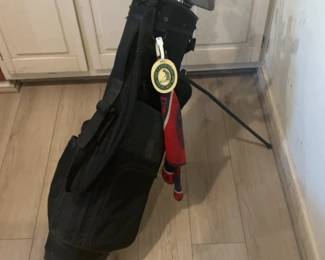 Complete Golf Club Set with Black Stand Bag and Accessories